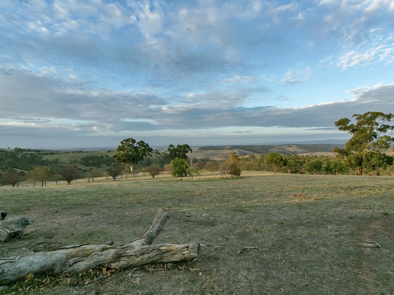911 Gawler One Tree Hill Road, One Tree Hill SA 5114