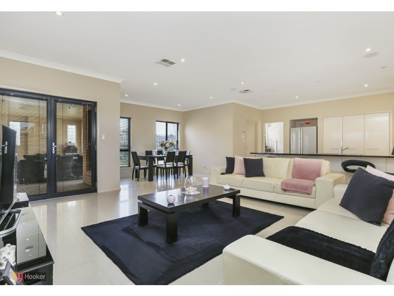 16 Tamblyn Court, Mawson Lakes SA 5095