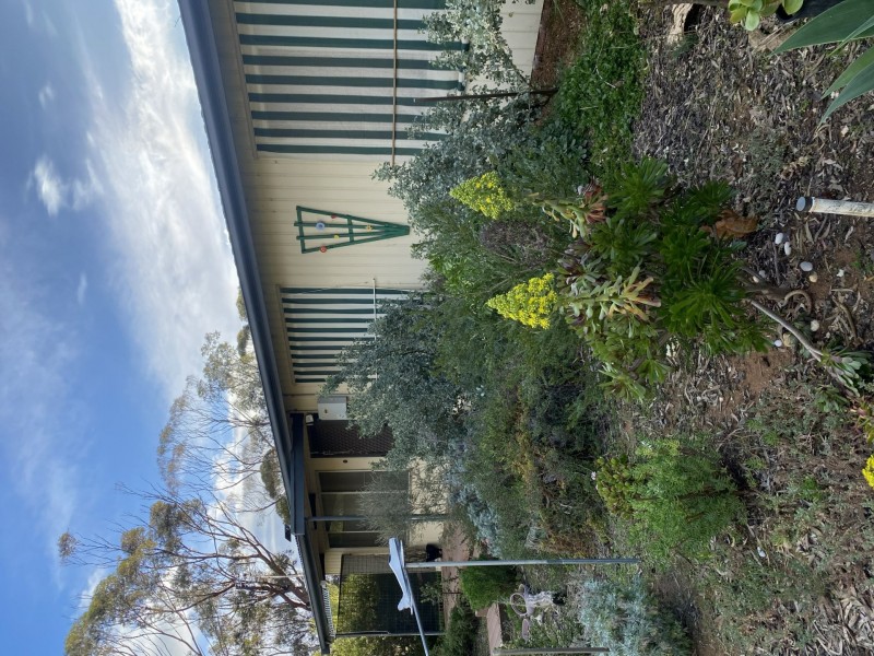 21 Murray Park, Mannum SA 5238