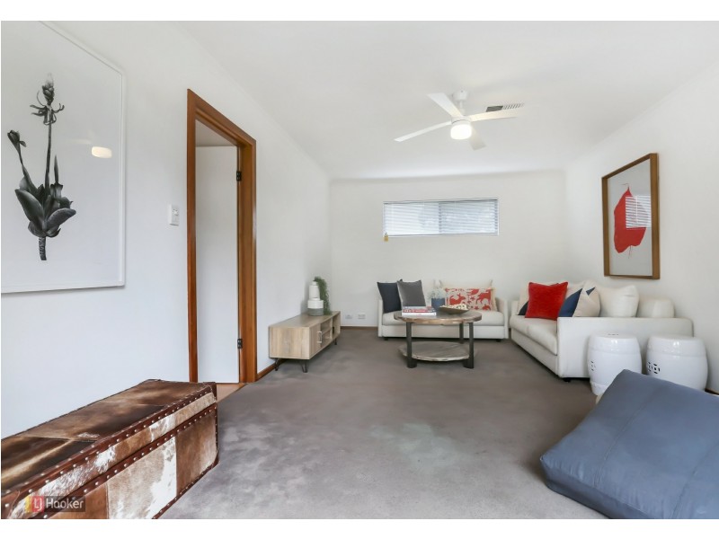 16 Carnarvon Avenue, Redwood Park SA 5097