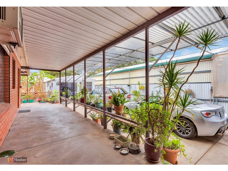 374 Regency Road, Prospect SA 5082