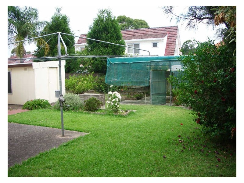 31 Ronald Street, Padstow NSW 2211