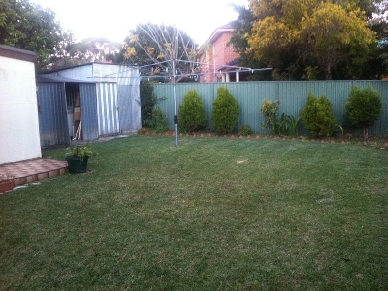 53 Mcgirr Street, Padstow NSW 2211