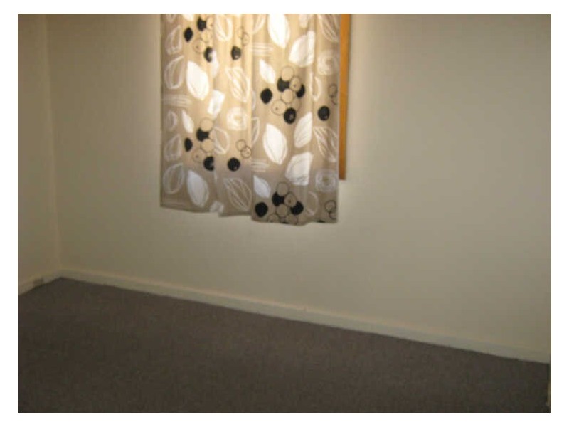 1 Bransgrove Road, Revesby NSW 2212