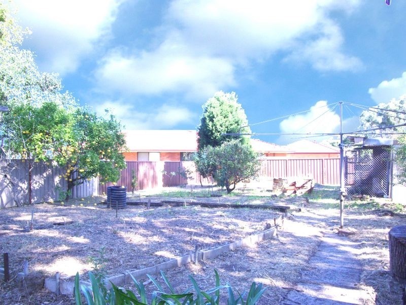 6 Lang Street, Padstow NSW 2211