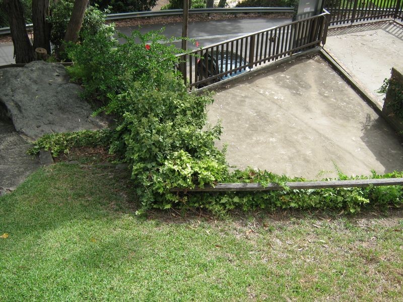 14 Carinya Road, Picnic Point NSW 2213