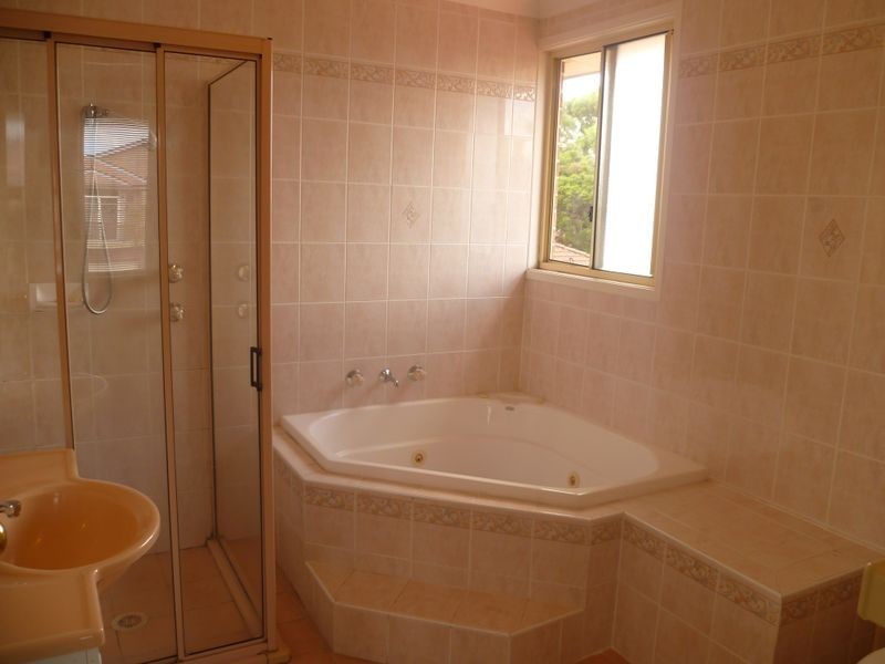 171 Banksia Road, Greenacre NSW 2190