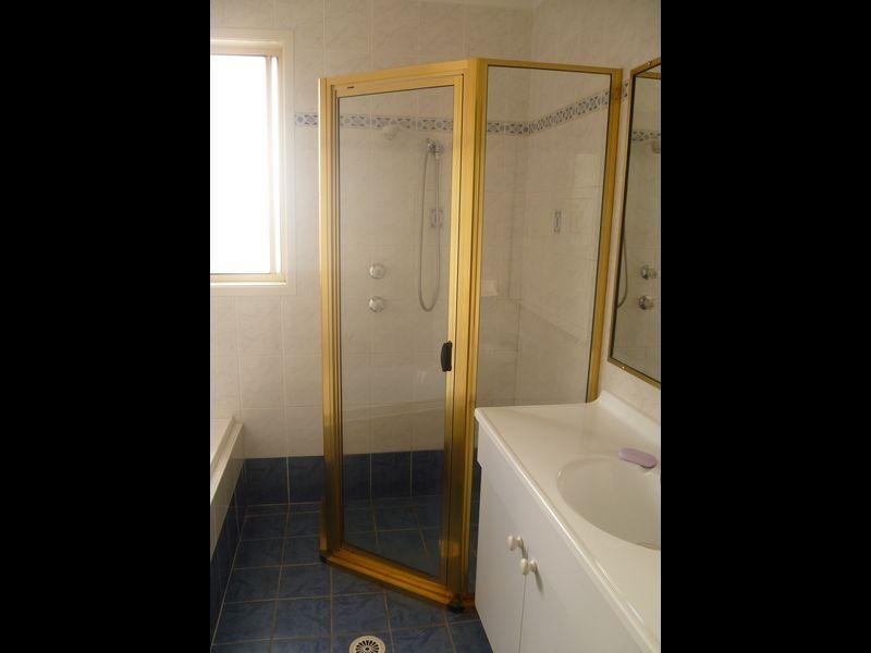 171 Banksia Road, Greenacre NSW 2190