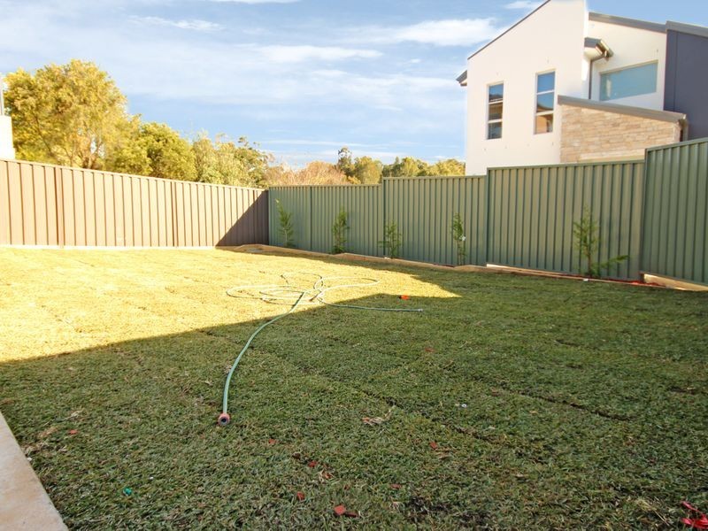 20 Virginius Street, Padstow NSW 2211