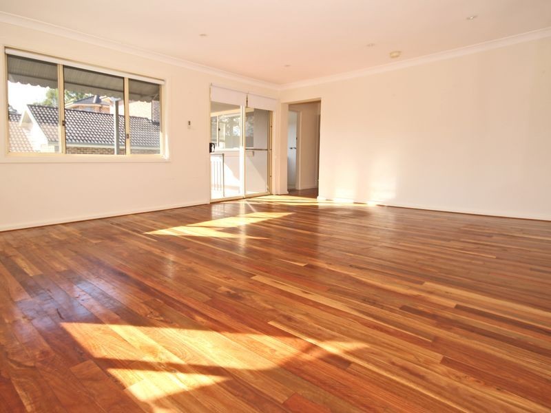 20 Virginius Street, Padstow NSW 2211