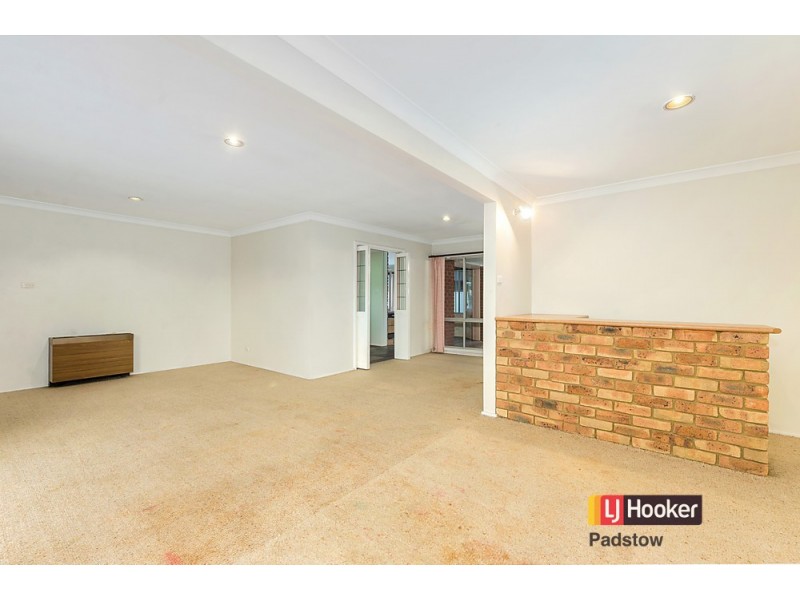 17 Sinai Avenue, Milperra NSW 2214