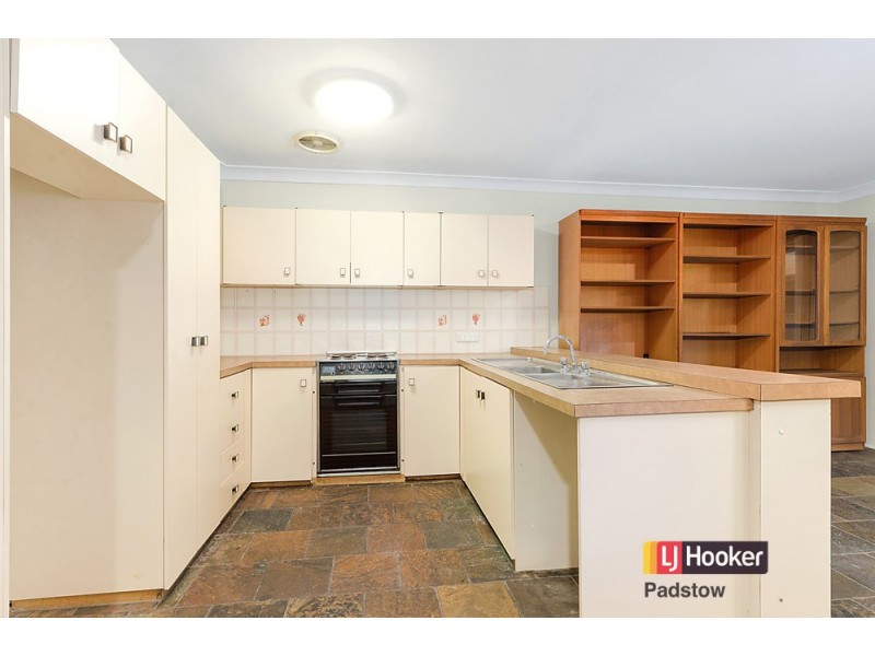 17 Sinai Avenue, Milperra NSW 2214