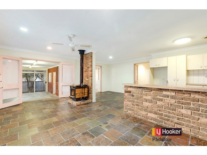 17 Sinai Avenue, Milperra NSW 2214