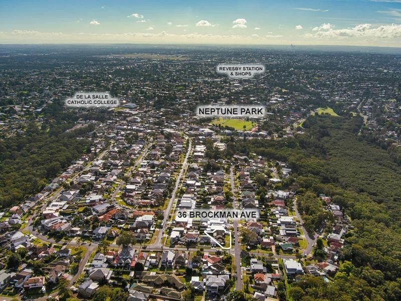 36 Brockman Avenue, Revesby Heights NSW 2212