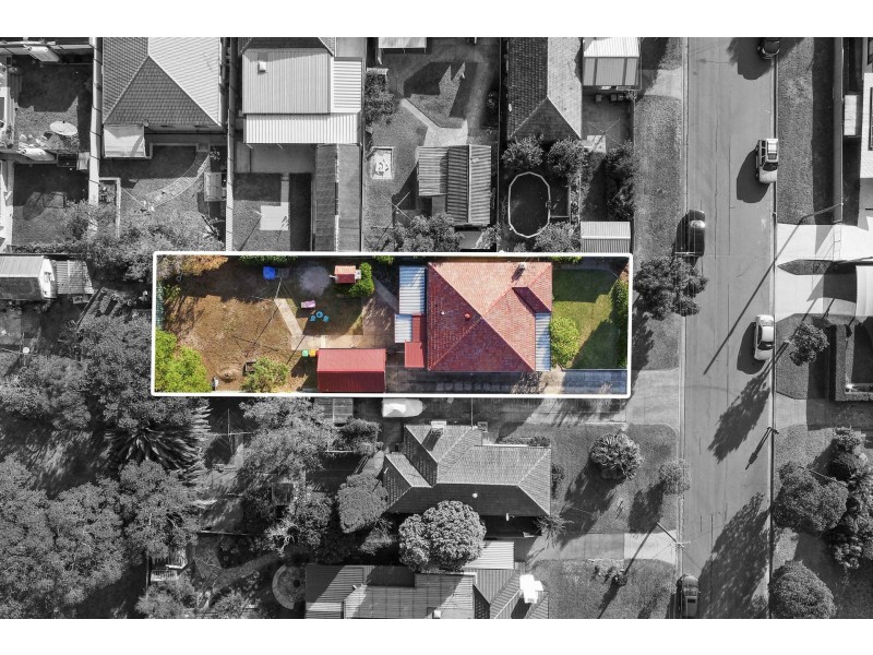 53 Springfield Road, Padstow NSW 2211