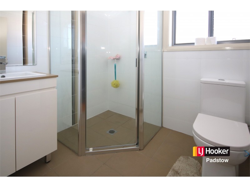 29 Freda Street, Picnic Point NSW 2213