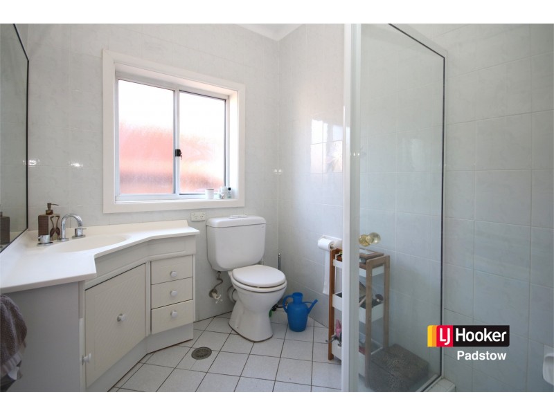 19 Langdale Avenue, Revesby NSW 2212