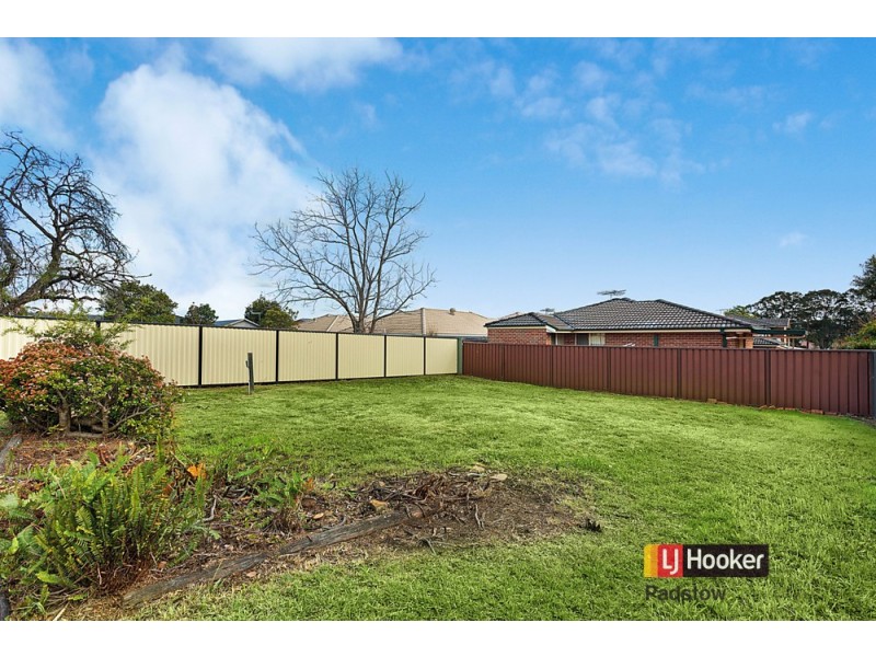 62 Albert Street, Revesby NSW 2212