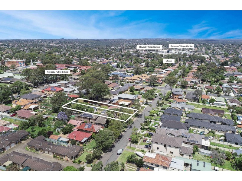 59 Albert Street, Revesby NSW 2212