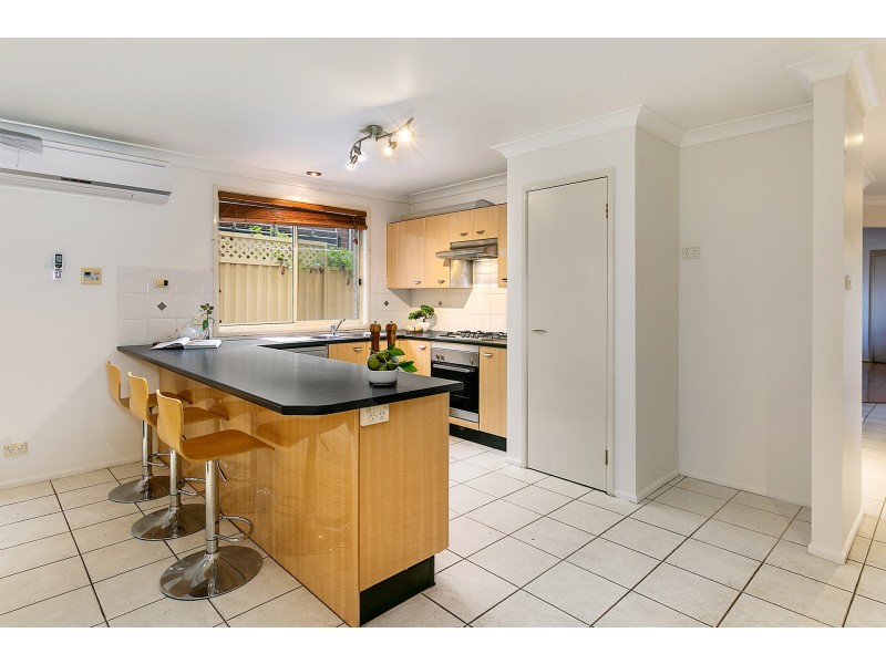 117B Iberia Street, Padstow NSW 2211