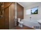 1 Jamieson Street, Revesby NSW 2212