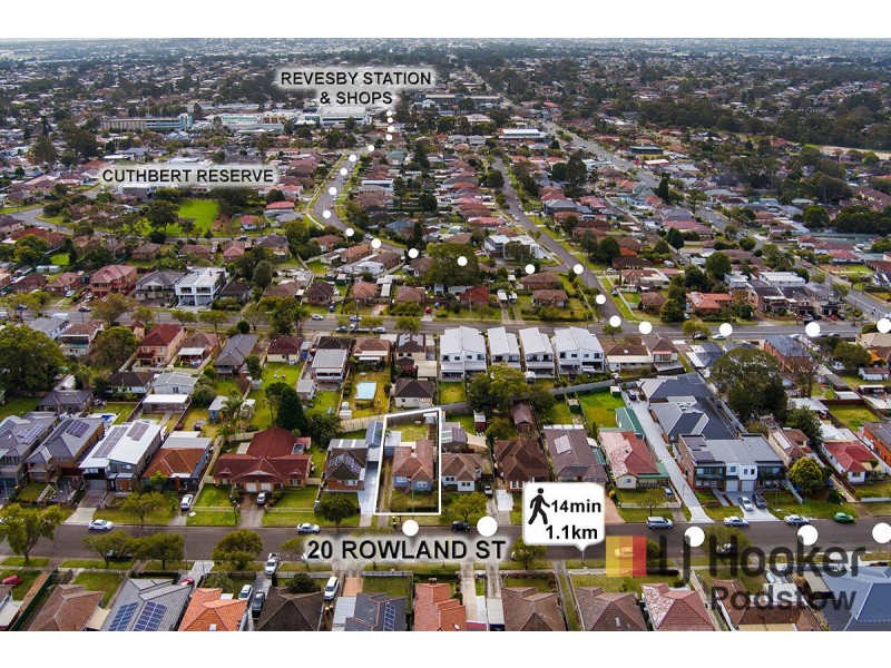 20 Rowland Street, Revesby NSW 2212