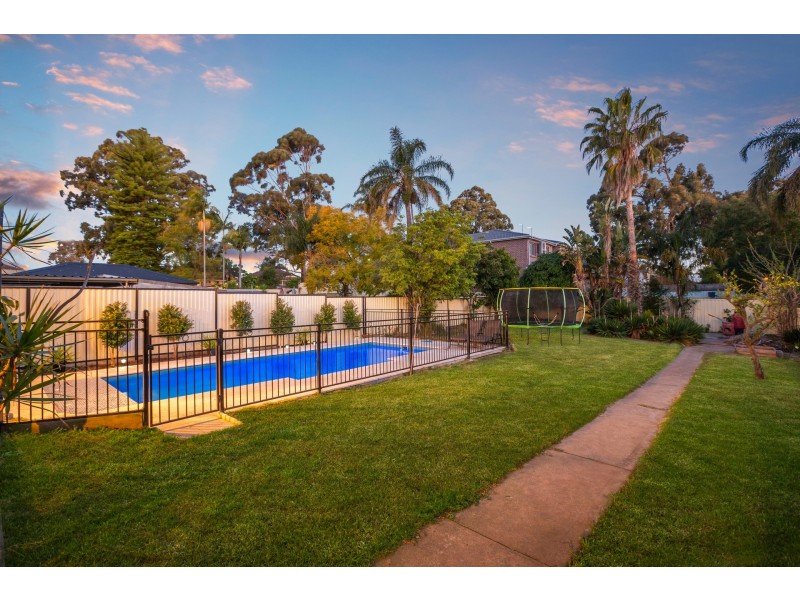 93 Windsor Road, Padstow NSW 2211