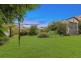 41 Springfield Road, Padstow NSW 2211