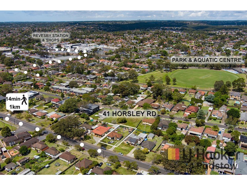 41 Horsley Road, Revesby NSW 2212