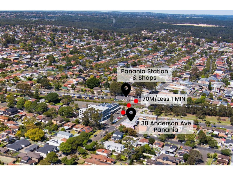 38 Anderson Avenue, Panania NSW 2213