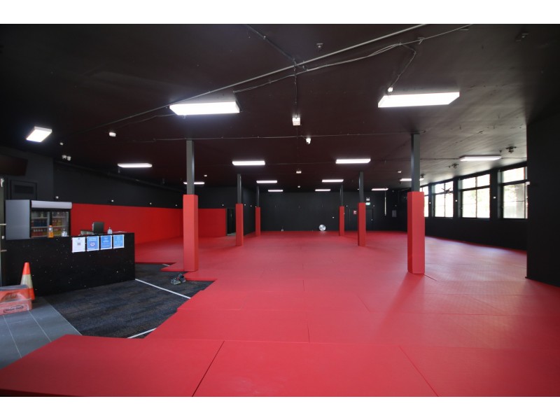 2 Selems Parade, Revesby NSW 2212