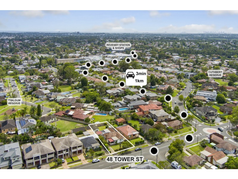 48 Tower Street, Panania NSW 2213