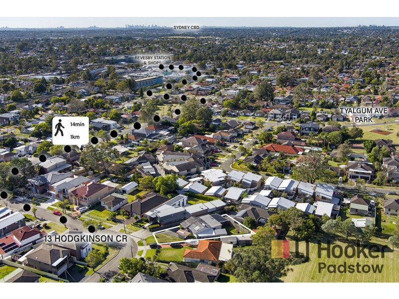 13 Hodgkinson Crescent, Panania NSW 2213