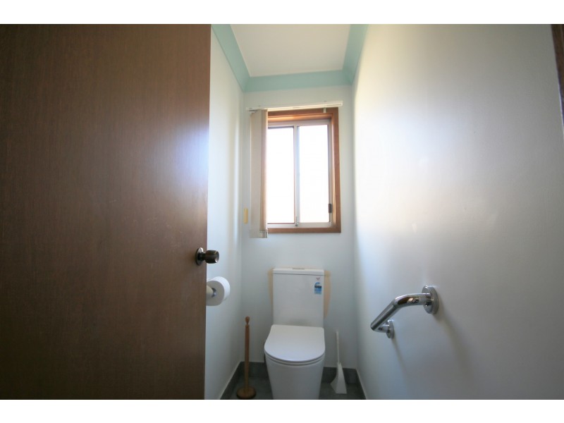 Granny Fla/26 Rivenoak Avenue, Padstow NSW 2211