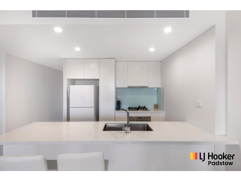 301/35 Anderson Avenue, Panania NSW 2213