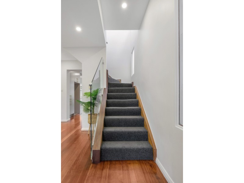 50 Gowrie Street, Newtown NSW 2042