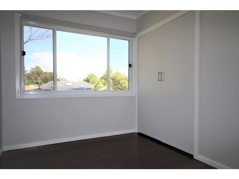 16 Clive Street, Revesby NSW 2212