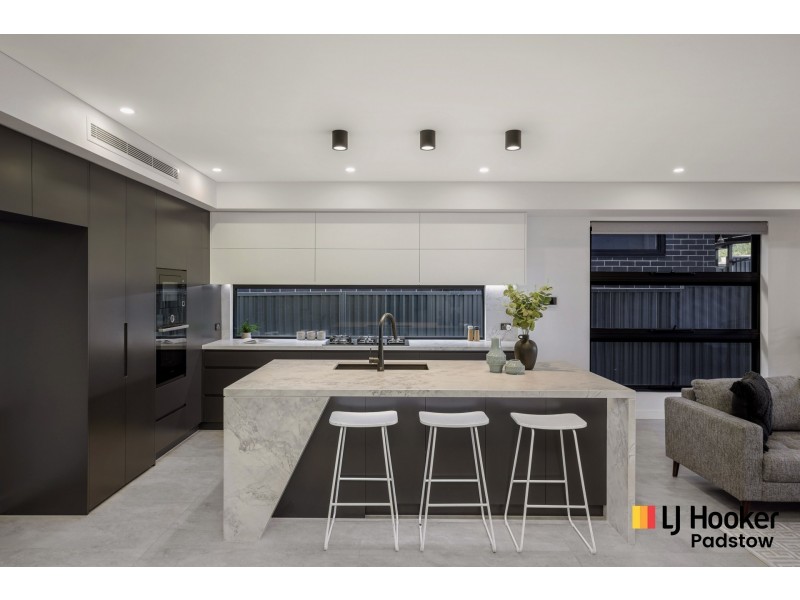 19 Birdsall Avenue, Condell Park NSW 2200