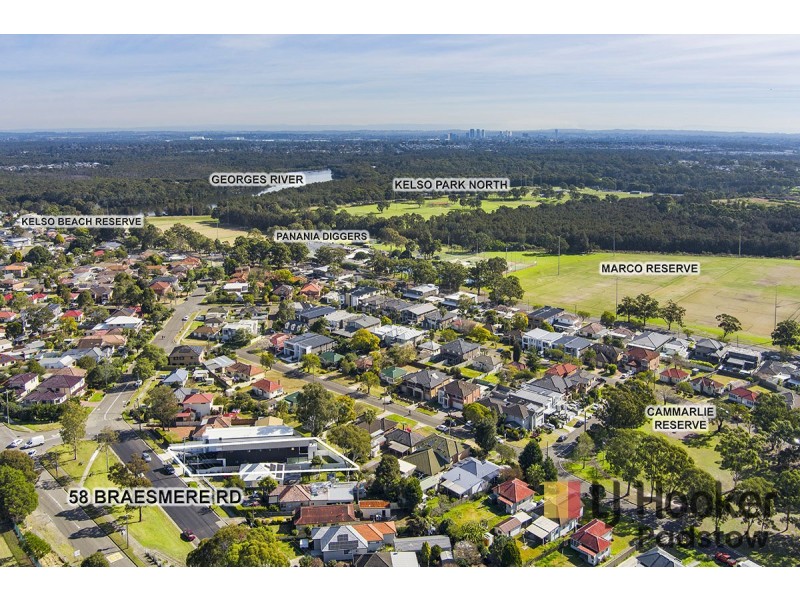 58 Braesmere Road, Panania NSW 2213