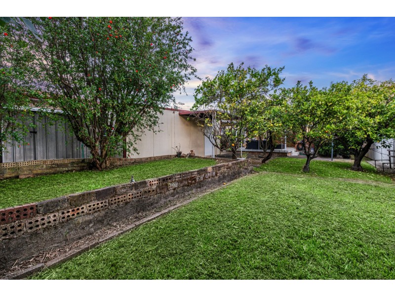 38 Faraday Road, Padstow NSW 2211