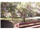 Padstow NSW 2211