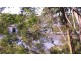 Padstow NSW 2211