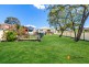 43 Hydrae Street, Revesby NSW 2212