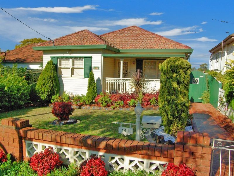 141 Tower Street, Panania NSW 2213