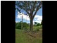 11 Eagleview Road, Minto NSW 2566