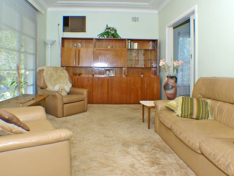 67 Carson Street, Panania NSW 2213