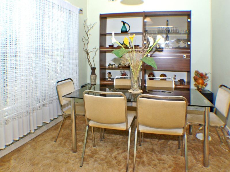 67 Carson Street, Panania NSW 2213