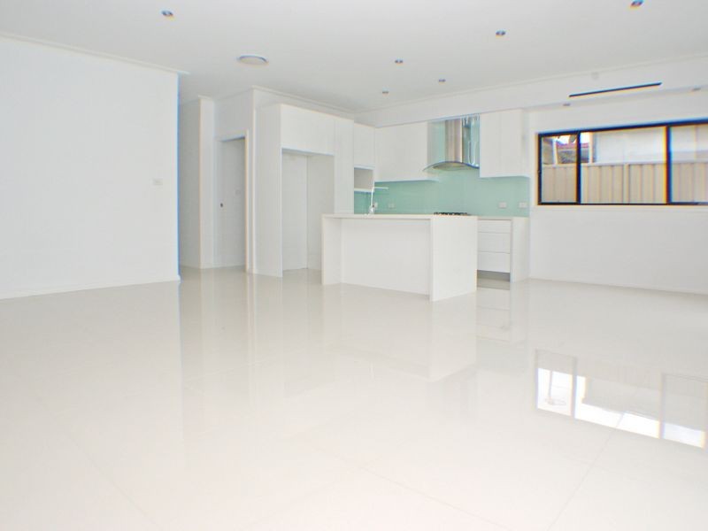 117 & 117A Marco Avenue, Panania NSW 2213