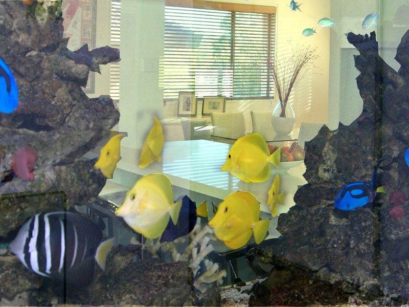 8 Vera Place, Padstow Heights NSW 2211