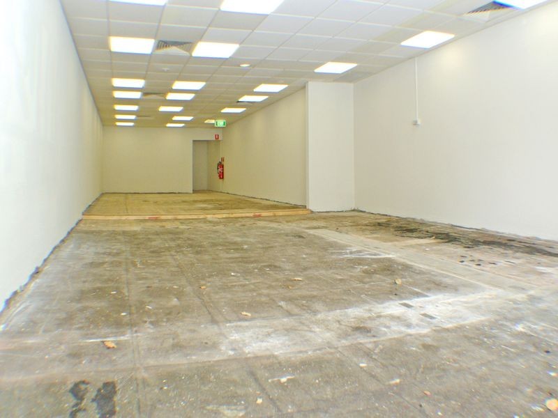 17 Padstow Parade, Padstow NSW 2211